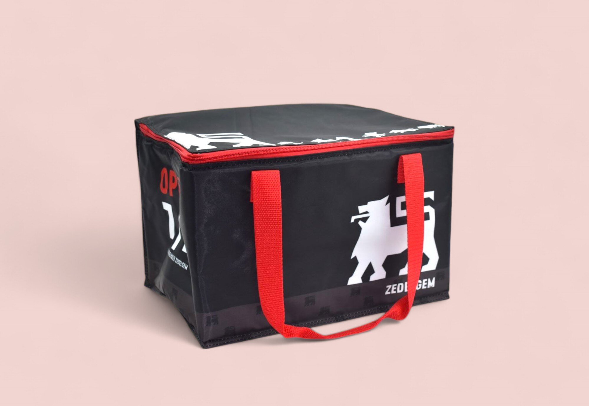 DELHAIZE - Cooler bag - SUPERBLEND