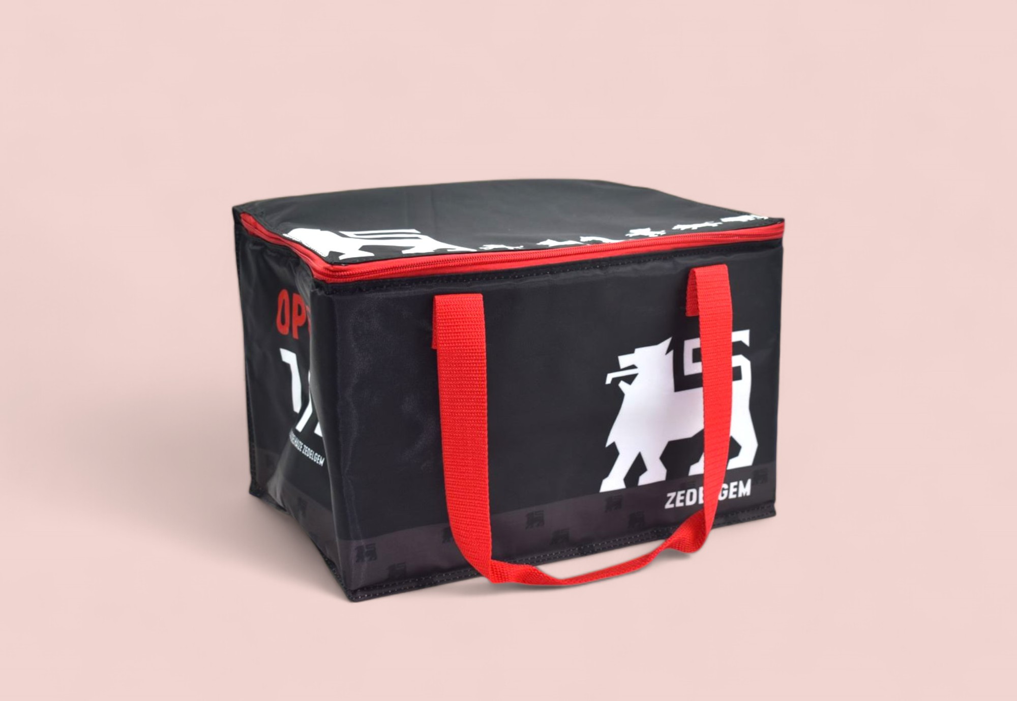 _DELHAIZE isothermische draagtas - SUPERBLEND-Photoroom-1